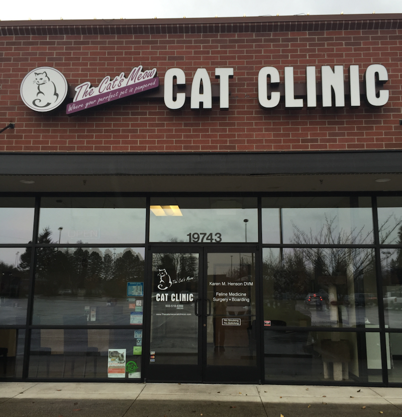 Online Forms The Cat's Meow Cat Clinic